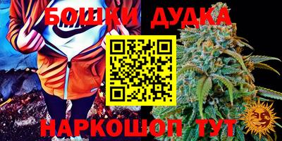 Альфа ПВП Кандалакша