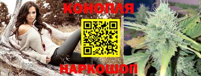 Альфа ПВП Кандалакша